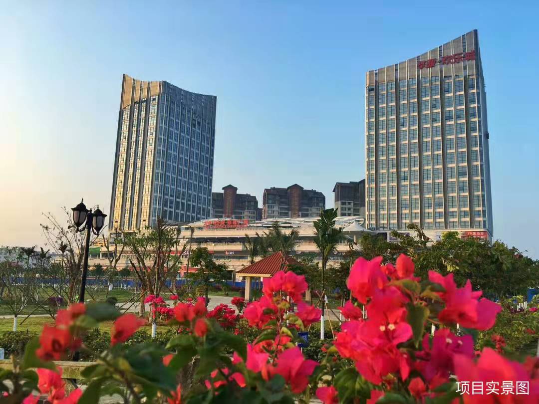 望海国际附近有什么配套设施吗？听说有东山岭？真的假的呢？