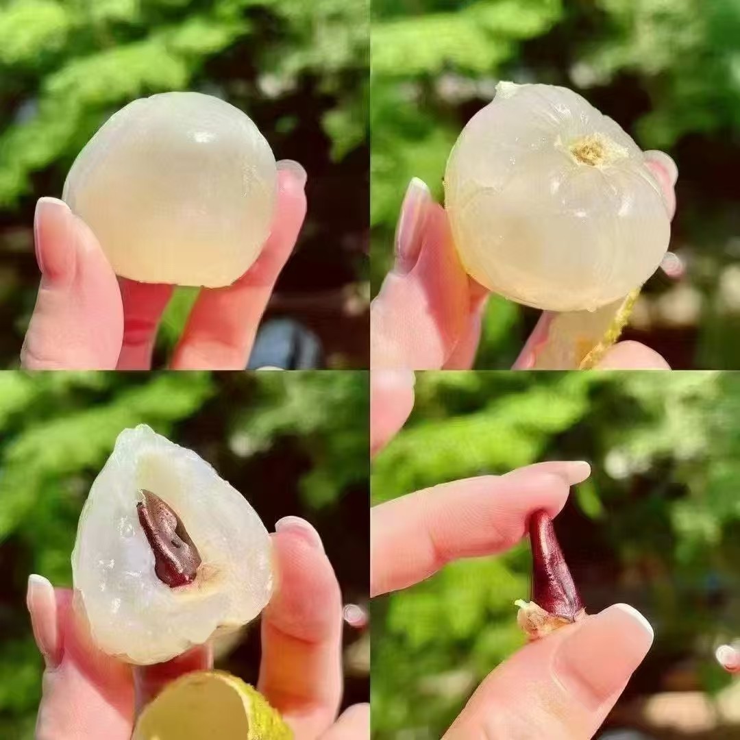 热带水果批发