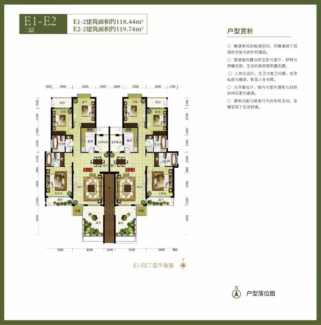 绿中海别墅户型E1-E2-251㎡